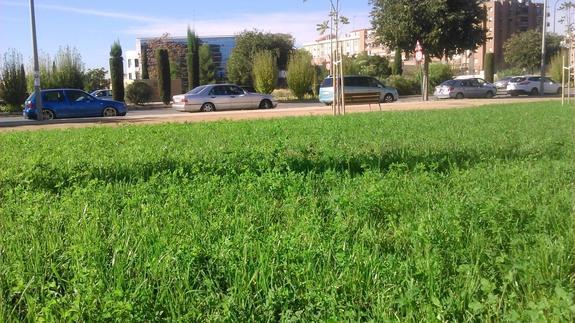 parque 2 575x323