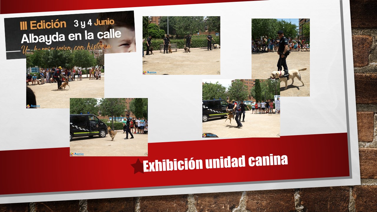 ExCanina